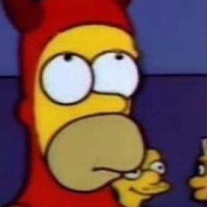 Meet your Posher, Alfie